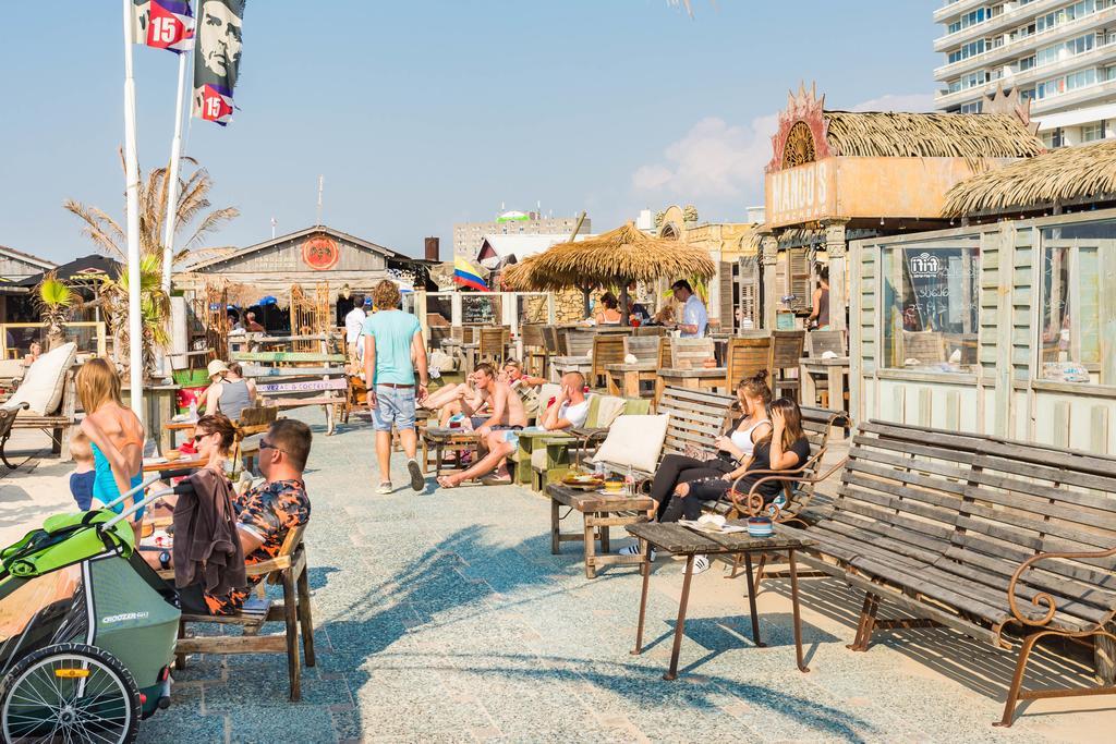 Cute Beach House Zandvoort Exterior foto